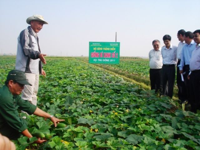 Hội nông dân huyện Gia Lộc với công tác chuyển giao khoa học kỹ thuật và hoạt động dịch vụ hỗ trợ nông dân.