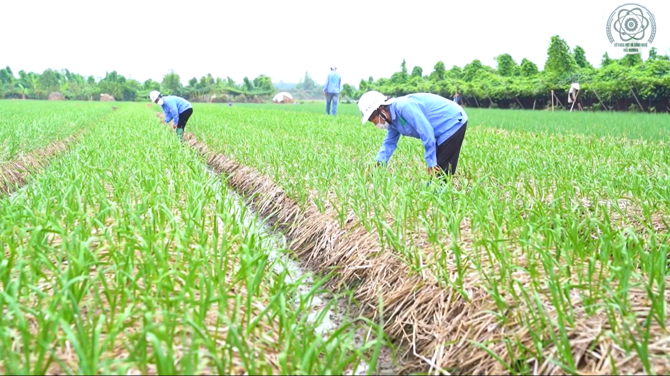 Công ty cổ phần sản xuất thương mại Agrico ứng dụng khoa học kỹ thuật nâng cao chất lượng sản phẩm