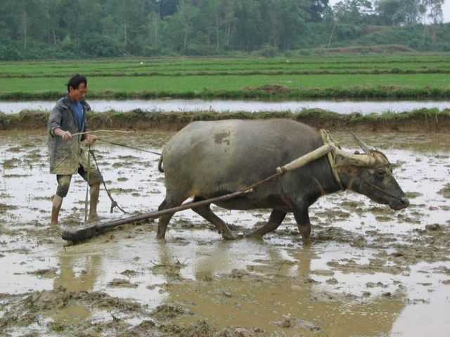 Một số lưu ý khi làm đất vụ mùa